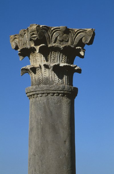 Corinthian style capital by Roman
